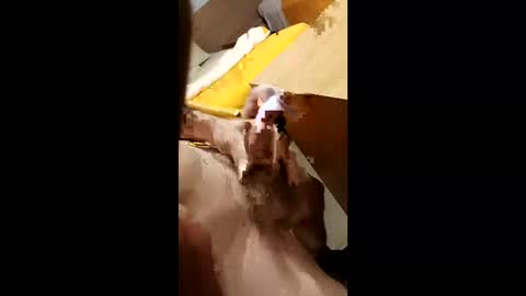 Snapshot of cunnemammaru chatting on 12/16/25, 11:43 cunnemammaru online show from 12/16/25, 11:43