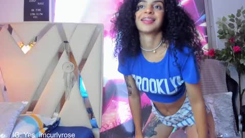 Snapshot of curlyrose_ chatting on 12/18/24, 09:29 Rose online show from 12/18/24, 09:29