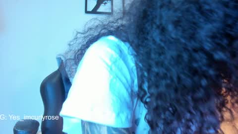 Snapshot of curlyrose_ chatting on 12/26/24, 11:57 Rose online show from 12/26/24, 11:57