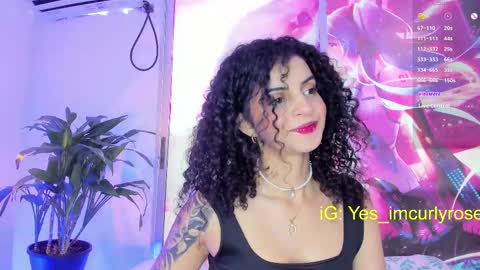 Snapshot of curlyrose_ chatting on 02/26/25, 08:44 Rose online show from 02/26/25, 08:44