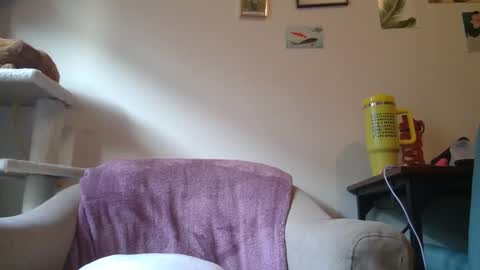 Cate online show from 01/21/25, 09:25