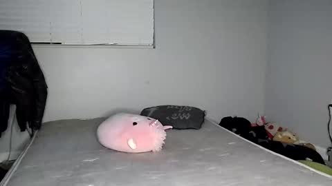 Lucifina ganja kittens online show from 12/20/24, 04:42