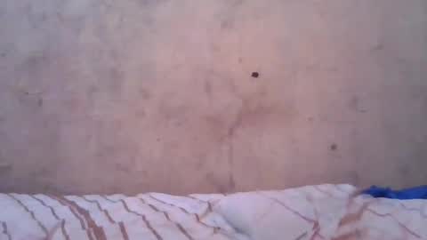 cute_divah4 online show from 06/12/26, 04:22