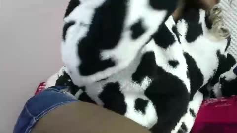 Snapshot of cutezola chatting on 03/27/26, 08:26 cutezola online show from 03/27/26, 08:26