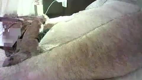 Snapshot of cv79brctba chatting on 10/29/25, 02:58 cv79brctba online show from 10/29/25, 02:58