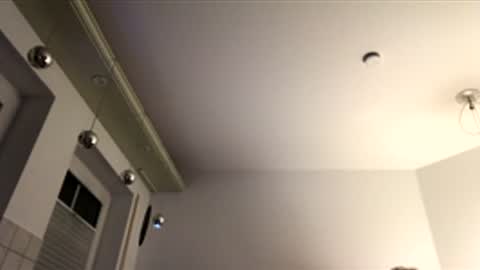 dachdecker7269 online show from 12/16/25, 05:12