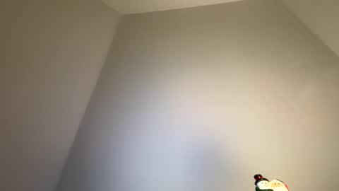 Snapshot of dachdecker7269 chatting on 02/09/26, 05:11 dachdecker7269 online show from 02/09/26, 05:11