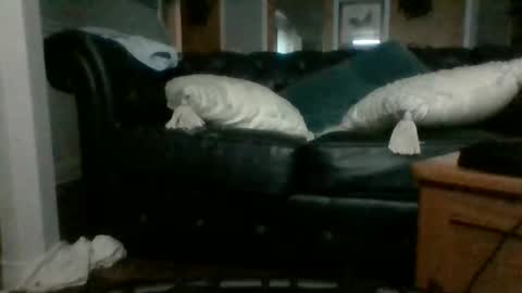 Snapshot of dadddyslilslxtxx chatting on 09/17/25, 03:08 cumslutangel online show from 09/17/25, 03:08