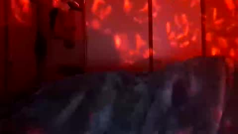 Snapshot of daddett chatting on 12/18/25, 09:48 Daddett iS Wett online show from 12/18/25, 09:48