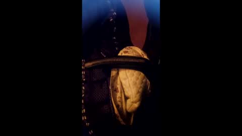 Snapshot of daddett chatting on 03/17/26, 05:22 Daddett iS Wett online show from 03/17/26, 05:22