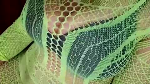 Snapshot of daddett chatting on 03/31/26, 08:15 Daddett iS Wett online show from 03/31/26, 08:15