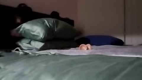 Snapshot of daddy69sx77 chatting on 02/06/26, 04:54 Kasey Xdresser online show from 02/06/26, 04:54