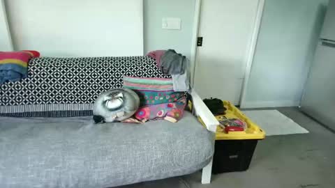 Snapshot of daddycache chatting on 10/27/25, 08:35 bas online show from 10/27/25, 08:35