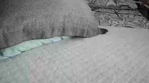 daddyslittleebony online show from 04/29/26, 09:13