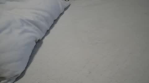 daddyslittleebony online show from 05/11/26, 09:48