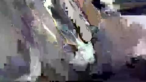 Snapshot of dadyschlong chatting on 03/26/26, 12:00 GIANT Lamar 72 ft tall with a 10 inches BBC hard quick cumshot in private show lets go online show from 03/26/26, 12:00