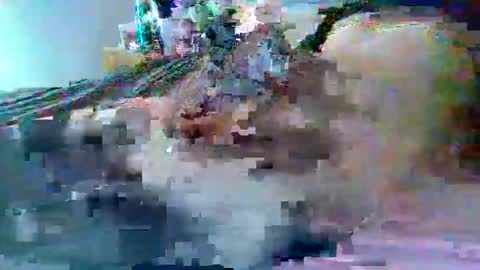 Snapshot of dafo1980 chatting on 02/22/26, 02:59 dafo1980 online show from 02/22/26, 02:59