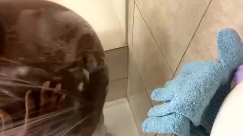 Snapshot of dafoxxx876 chatting on 11/24/25, 08:03 dafoxxx876 online show from 11/24/25, 08:03