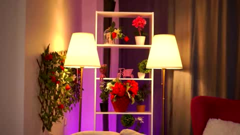 Snapshot of daisy_bella chatting on 03/16/26, 07:29 Daisy online show from 03/16/26, 07:29