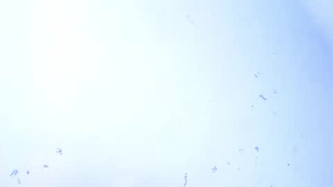 Snapshot of dakkotta_curvy chatting on 09/28/25, 07:47 VALENTINA  online show from 09/28/25, 07:47