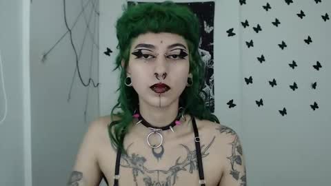 dakota online show from 12/11/24, 02:52