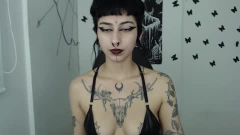 dakota online show from 01/25/25, 07:17