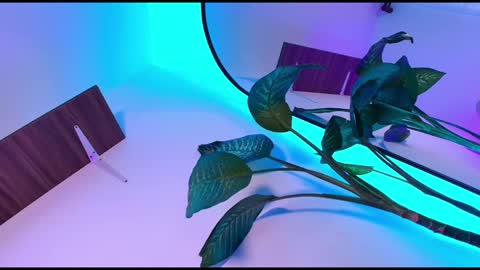 Dalila online show from 11/08/25, 10:48