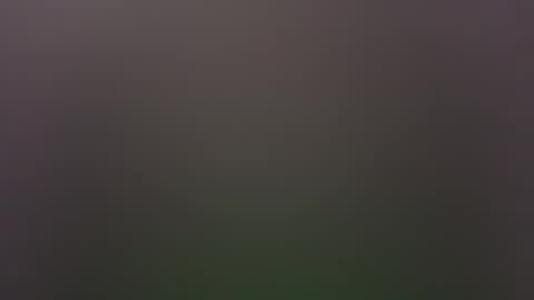 Snapshot of dallasjmg chatting on 02/25/26, 10:19 dallasjmg online show from 02/25/26, 10:19