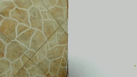         online show from 02/08/25, 07:04