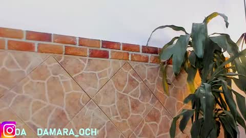         online show from 02/22/25, 07:45