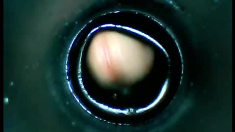 Snapshot of damdam44 chatting on 01/13/25, 04:51 damdam44 online show from 01/13/25, 04:51