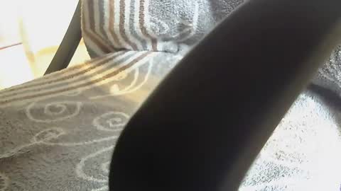 Snapshot of dammerl6 chatting on 01/28/25, 08:25 Dammerl online show from 01/28/25, 08:25