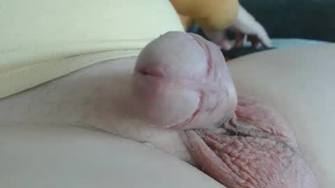 Damocles online show from 10/20/25, 12:49