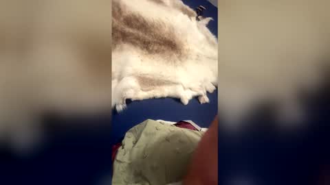 Snapshot of damontsi chatting on 03/22/26, 09:34 damontsi online show from 03/22/26, 09:34