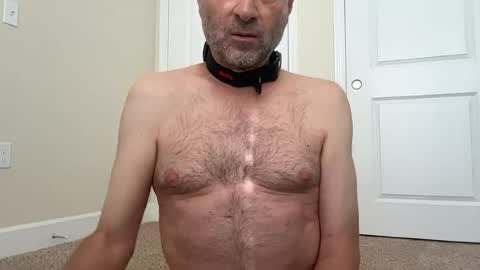 Snapshot of dan4002 chatting on 06/18/26, 04:11 slave being trained online show from 06/18/26, 04:11