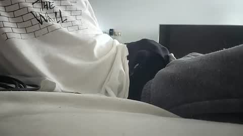 dan5666 online show from 06/23/26, 01:36