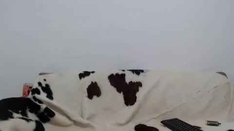 dan_jonson15 online show from 11/26/25, 06:31