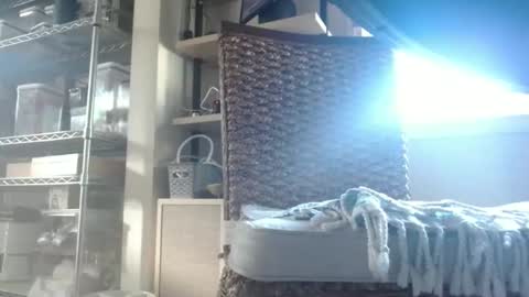 Snapshot of dan_va chatting on 02/12/26, 04:35 Dan online show from 02/12/26, 04:35