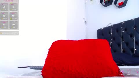 Snapshot of dana_moore_ chatting on 12/14/24, 02:31 danna online show from 12/14/24, 02:31