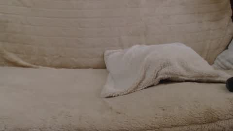 Daniella online show from 01/27/25, 11:00