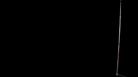 Dancel online show from 04/29/26, 09:32