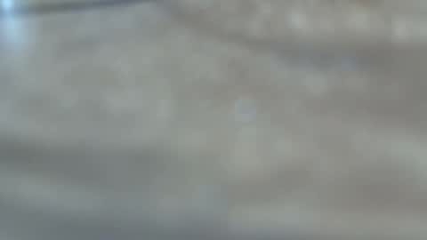 dancewhenyoucan9 online show from 12/22/25, 10:51