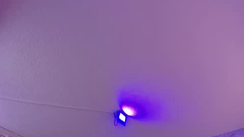 Daniela online show from 03/11/25, 10:51