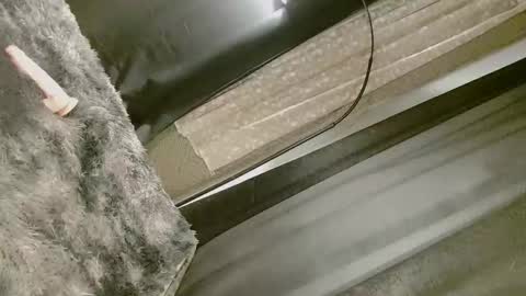 Snapshot of dangerouscock69_nica chatting on 09/10/25, 08:25 Nica online show from 09/10/25, 08:25