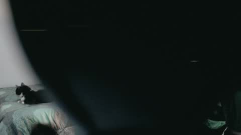 Snapshot of dani_jocelyn chatting on 03/02/25, 11:53 dani y jocelyn online show from 03/02/25, 11:53