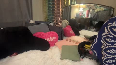 Snapshot of danidragon69 chatting on 02/05/25, 08:32 Dani Dragon online show from 02/05/25, 08:32