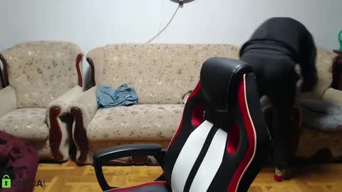 Snapshot of daniel_padalecki chatting on 02/09/25, 05:11 Daniel online show from 02/09/25, 05:11