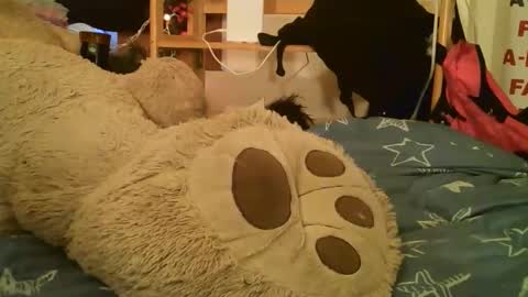 DANIELA online show from 03/17/26, 02:42