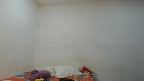 danielitopapii online show from 11/12/25, 03:40