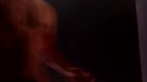 Snapshot of daniwood473904 chatting on 04/04/26, 03:38 daniwood473904 online show from 04/04/26, 03:38